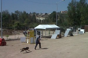 K9 training unit, Tijuana