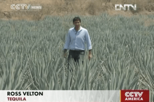 Diageo wants to buy Mexico's oldest tequila maker, Jose Cuervo